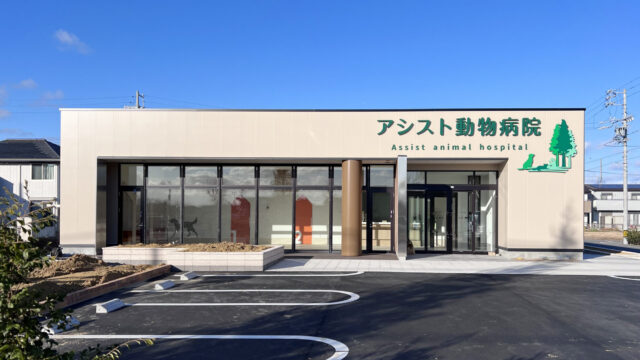 アシスト動物病院